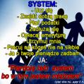 system